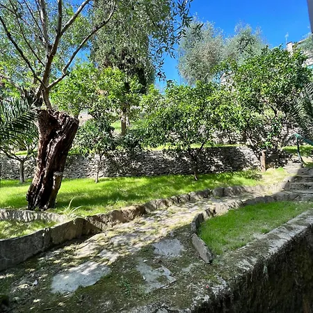 Blue Garden